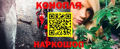 спайс Гай