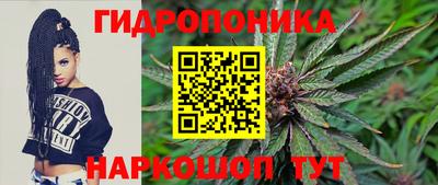 спайс Гай