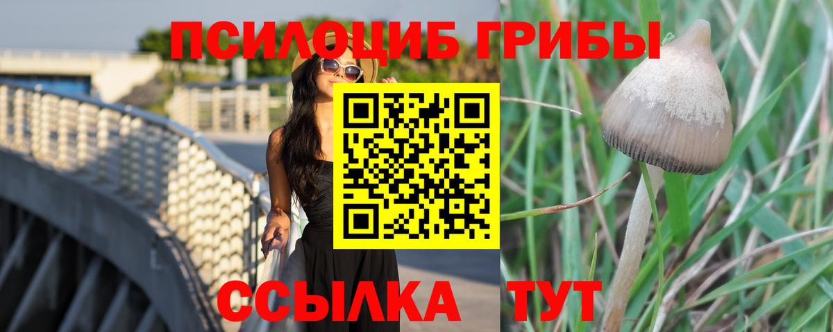 Домодедово  Галлюциногенные грибы Cubensis  Вход с VPN 